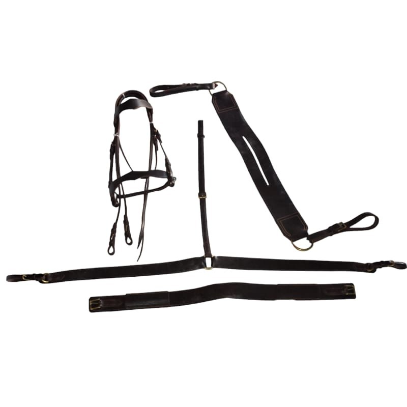 Imagen de WhatsApp 2024-07-21 a las 13.26.20_157d315c